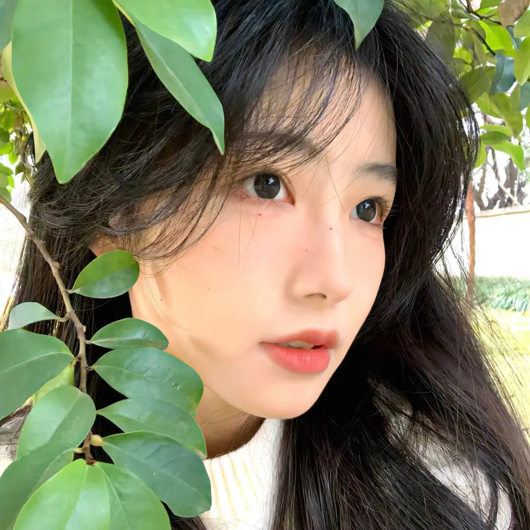 菠萝蜜之谜