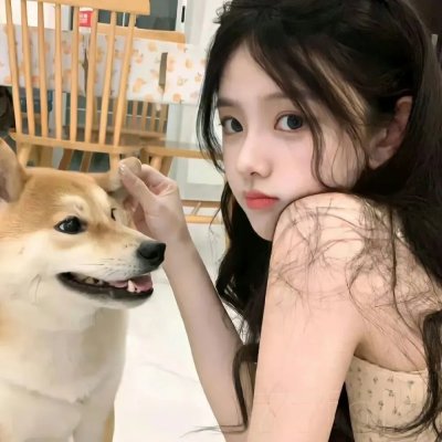猫贼